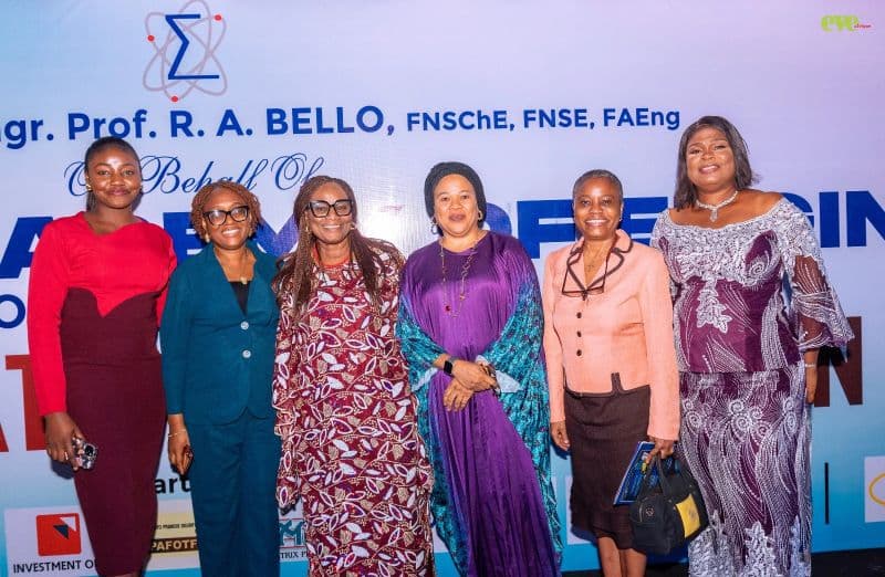 With APWEN Lagos and fellow engineers